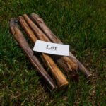 Lof Premium Odor-Free 12 Inch Monster Bully Sticks - 100% Beef Pizzle from Free-Range, Grass-Fed Cattle