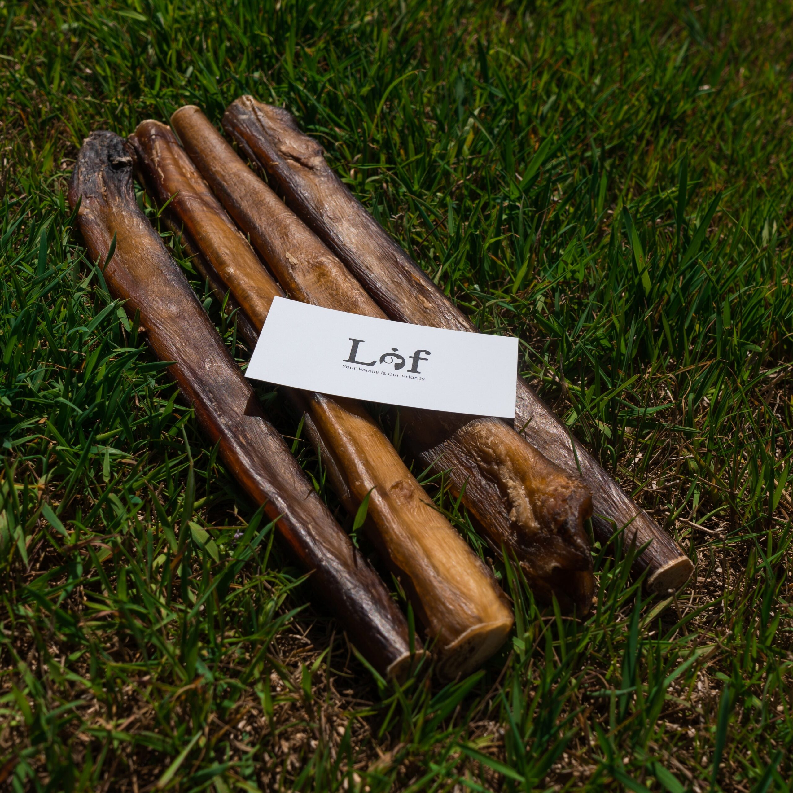 Lof Premium Odor-Free 12 Inch Monster Bully Sticks - 100% Beef Pizzle from Free-Range, Grass-Fed Cattle