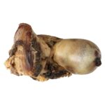 Beef Saddle Knuckle ?C All-Natural Roasted Dog Chew for Large & Power Chewers