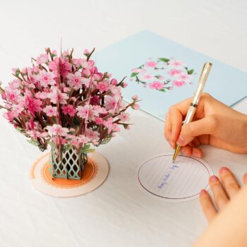 Paper Love 3D Pop Up Card, with Detachable Popup Keepsake, Gift for Birthday, Graduation, Get Well, Thank You, All Occasion or Just Because - Oversized 10" x 7" Cards - with Envelope and